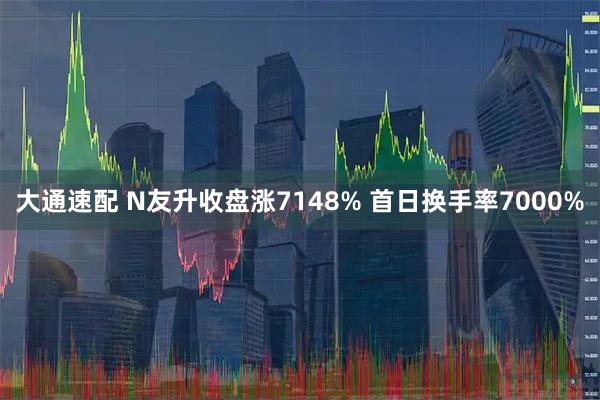 大通速配 N友升收盘涨7148% 首日换手率7000%