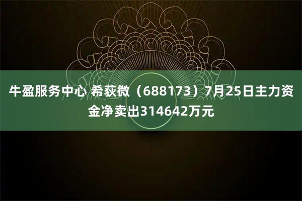 牛盈服务中心 希荻微（688173）7月25日主力资金净卖出314642万元